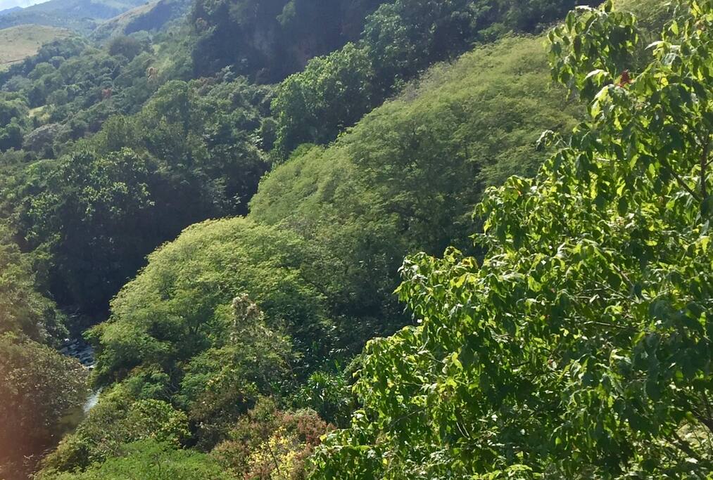 nature