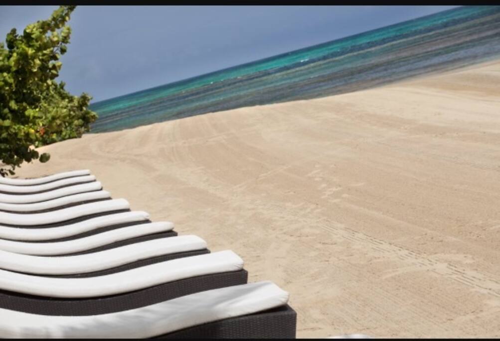 The Beach