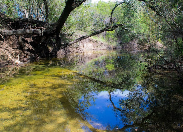 Pierce Creek is a wet-weather creek, which means it flows during periods of regular or heavy rain.