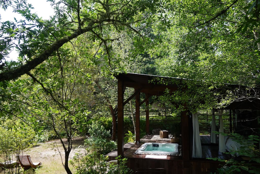 cabane et spa dans les arbres en aquitaine