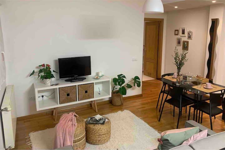 Apartamento Con Encanto Y Mucha Luz - Villaviciosa