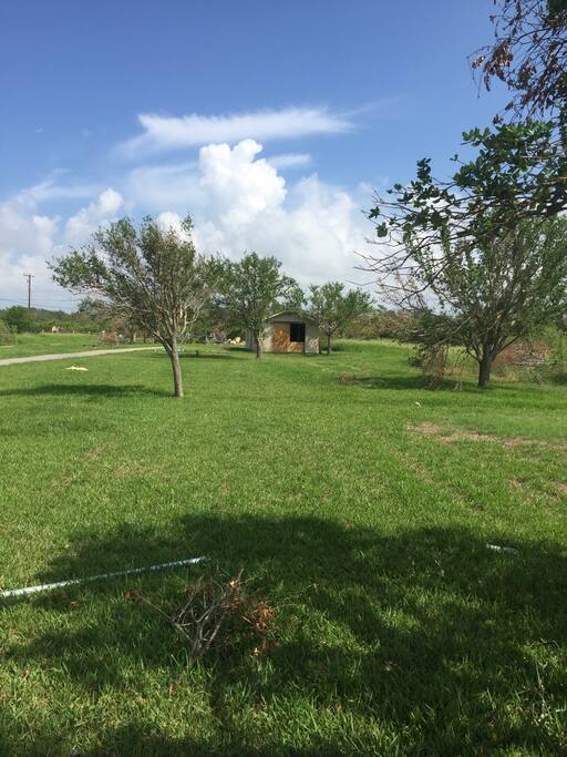Our spacious front yard