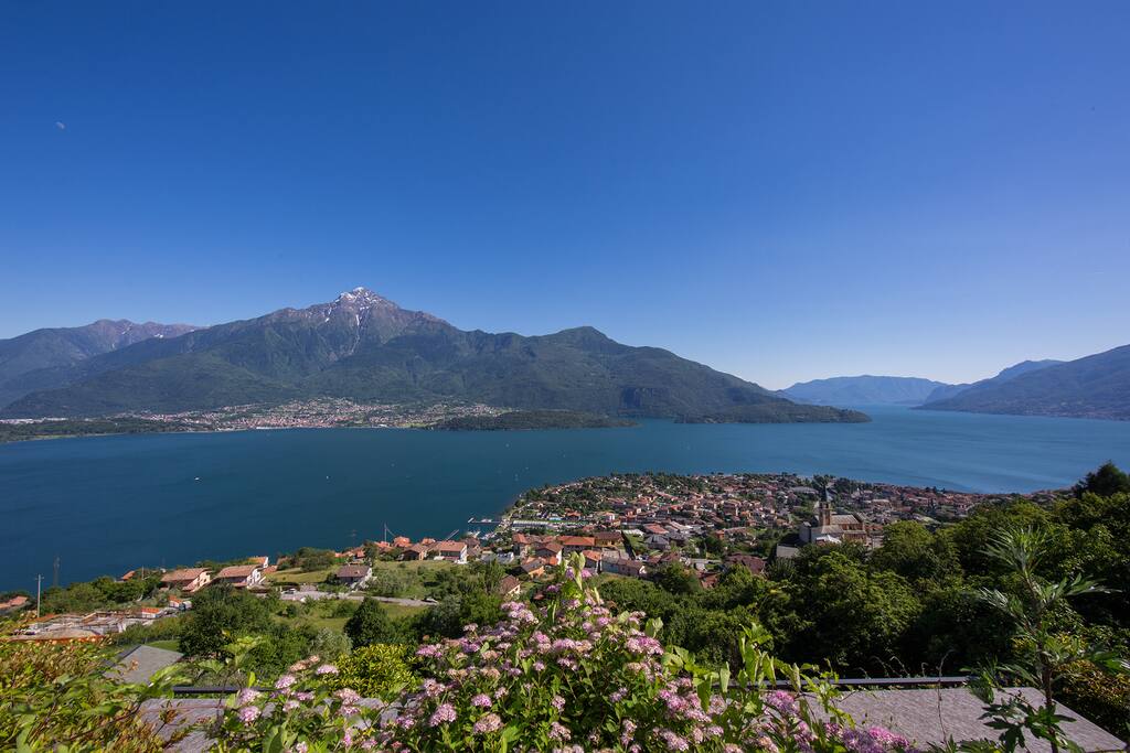 View from the terrace