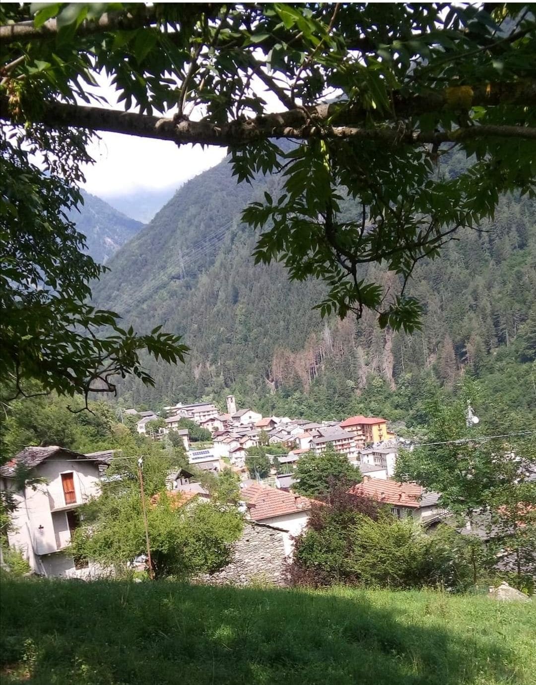 A panoramic view captures a quaint village nestled in a lush valley, surrounded by hills. Traditional buildings with terracotta roofs and tall trees dot the landscape. The backdrop features a serene forest, enhancing the tranquil atmosphere of the area.