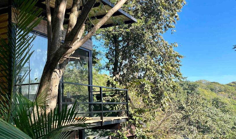 Live the jungle at 6 min from the beach...