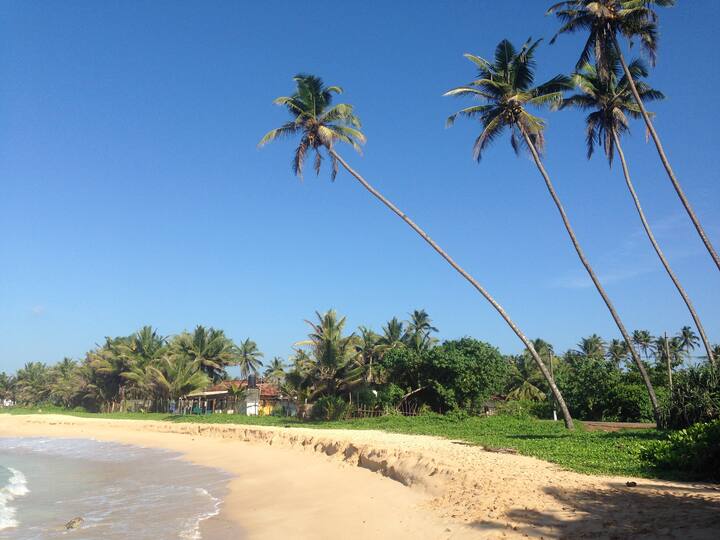Flow Villa: Six Surf Spots a Five Minute Walk