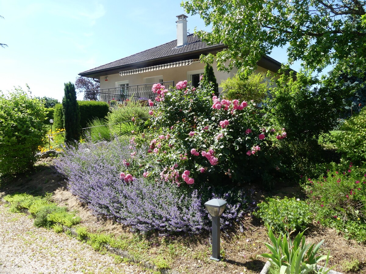 A charming villa is surrounded by lush greenery and blooming flowerbeds, featuring pink roses and purple lavender. A well-maintained garden path leads to the entrance, with outdoor lighting positioned for evening illumination. The serene landscape offers a welcoming environment for guests.
