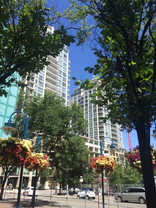 Waterfront towers