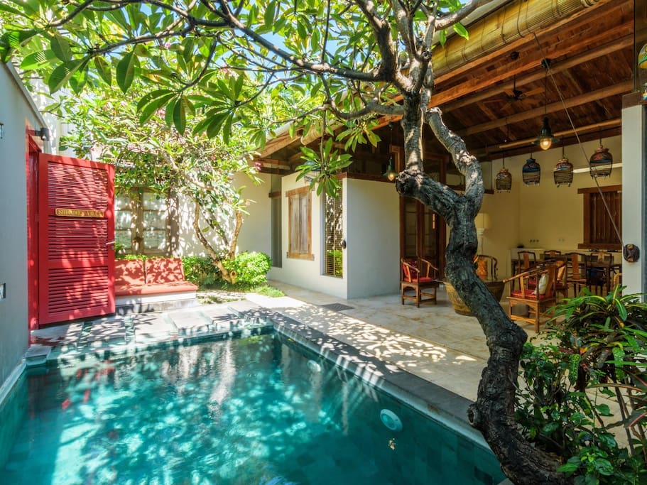 Private Pool at Bali Ginger Villa