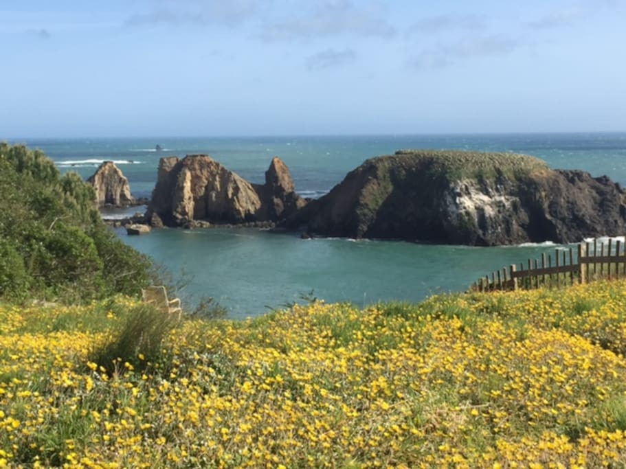The backyard and ocean view in Springtime.