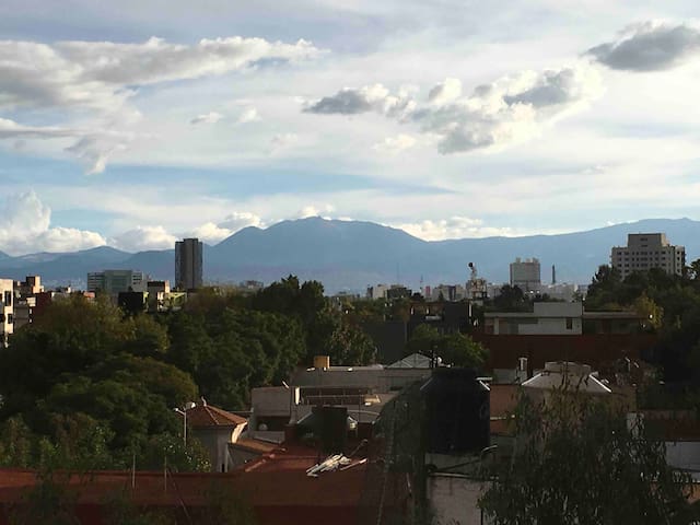 Luminous and spacious apartment in Condesa