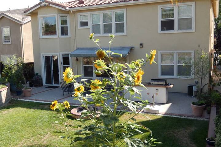 Beautiful Spacious Home in a Quiet Area gallery image 5