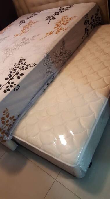 Queen size bed has a pull-out couch for another person to sleep in.