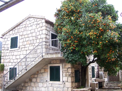 Apartman Vanda  1 (ground floor)