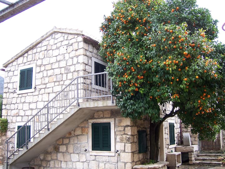 Apartman Vanda 1 (ground floor)