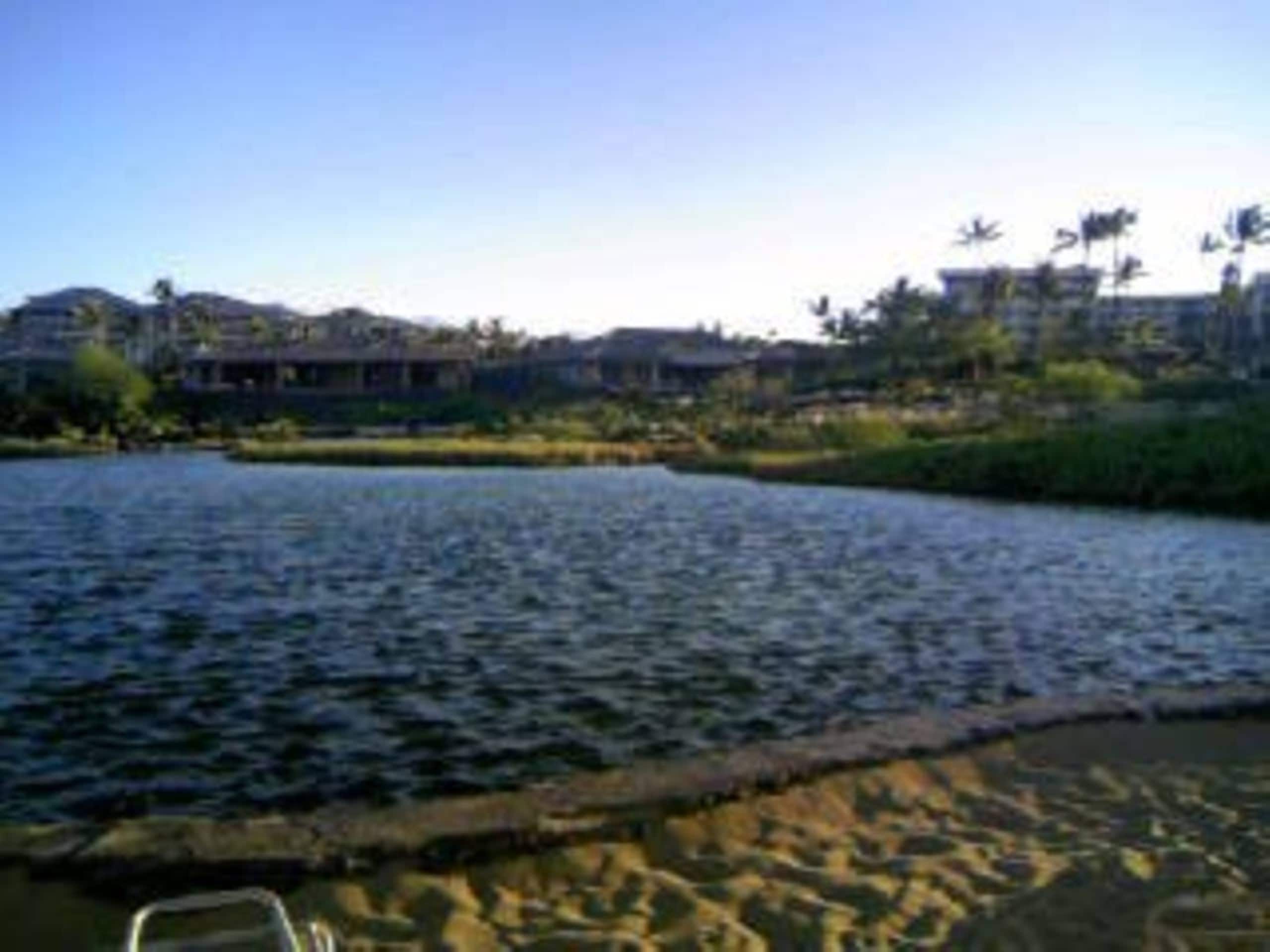 Villa in Waikoloa Village · ★5.0 · 2 bedrooms · 5 beds · 2 baths - Photo 39