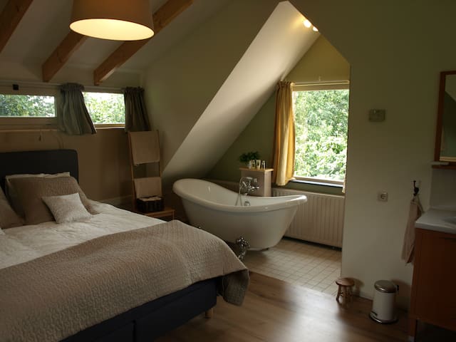 Bed & Breakfast - The Back House