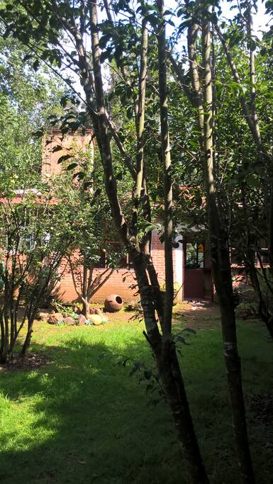 Vista de la entrada a la casa desde el jardín