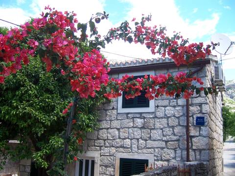 Apartman Vanda 2 (first floor)