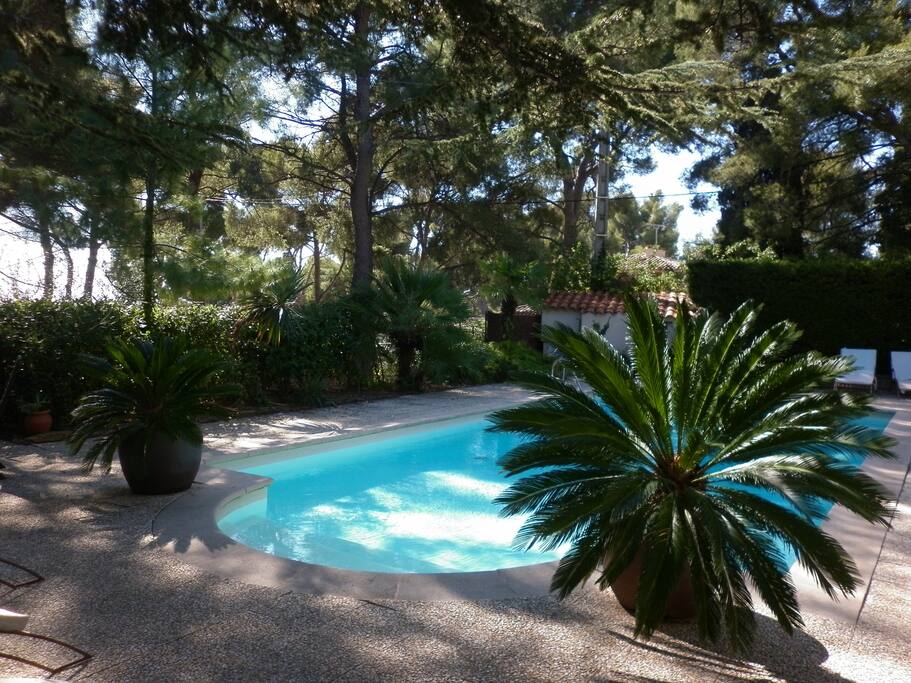 Espace piscine/BBQ