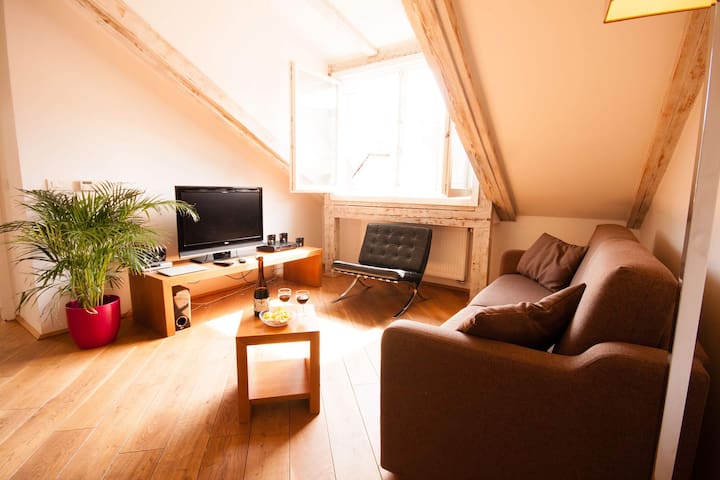 Kozna Loft D 2-Bedrooms (Old Town)