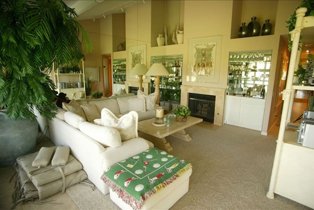 Living Room - Spacious, High Ceilings,