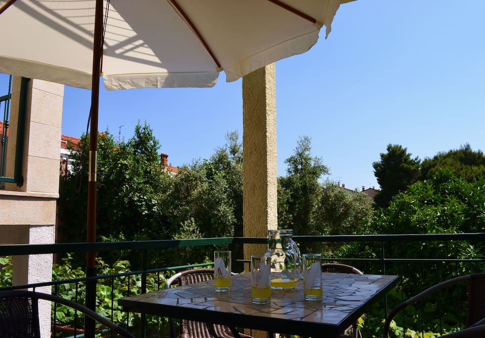 Soothing view from the terrace, ideal for relaxing with a cool beverage