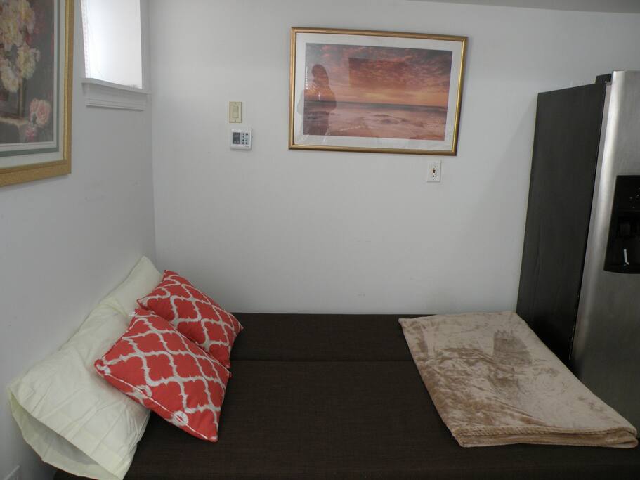 Sleeper sofa (almost queen bed)
