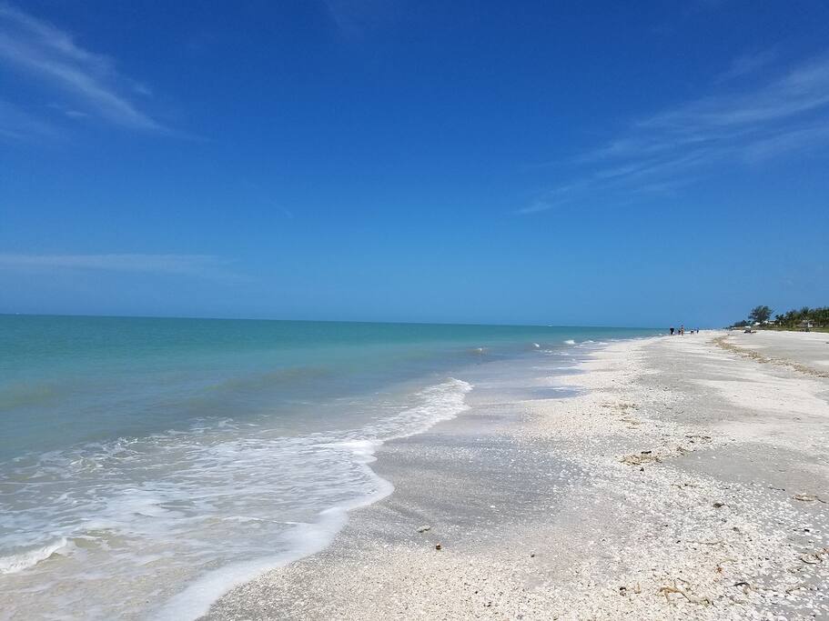 Peaceful...seashells galore