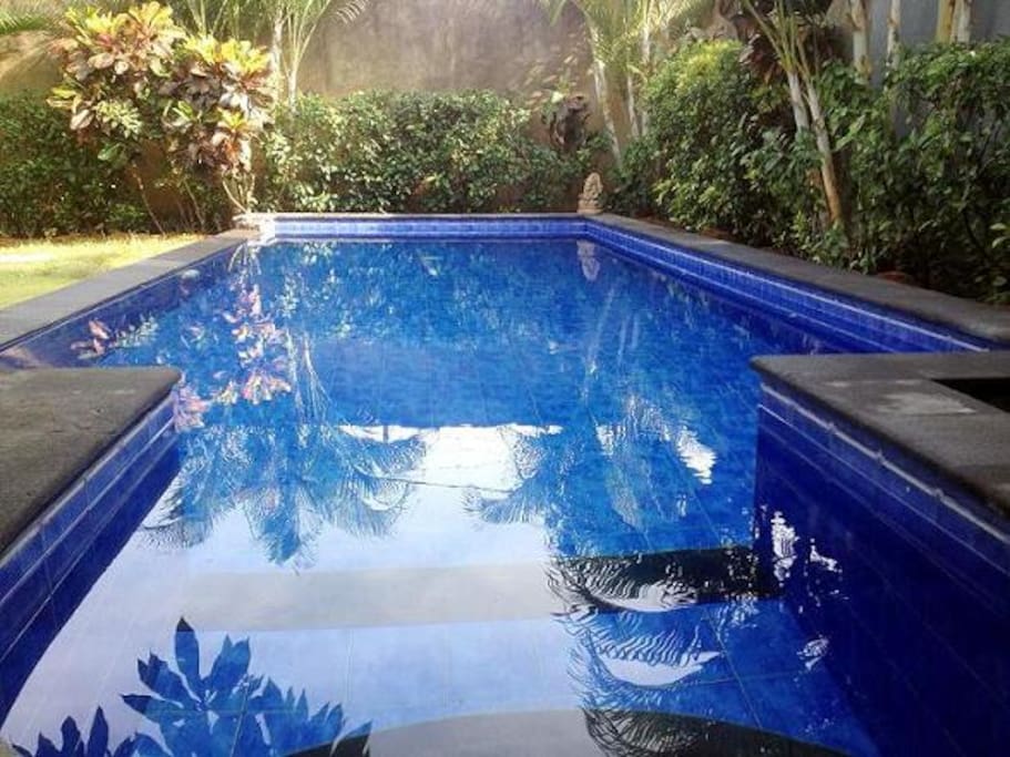 Pool 8m x 3m