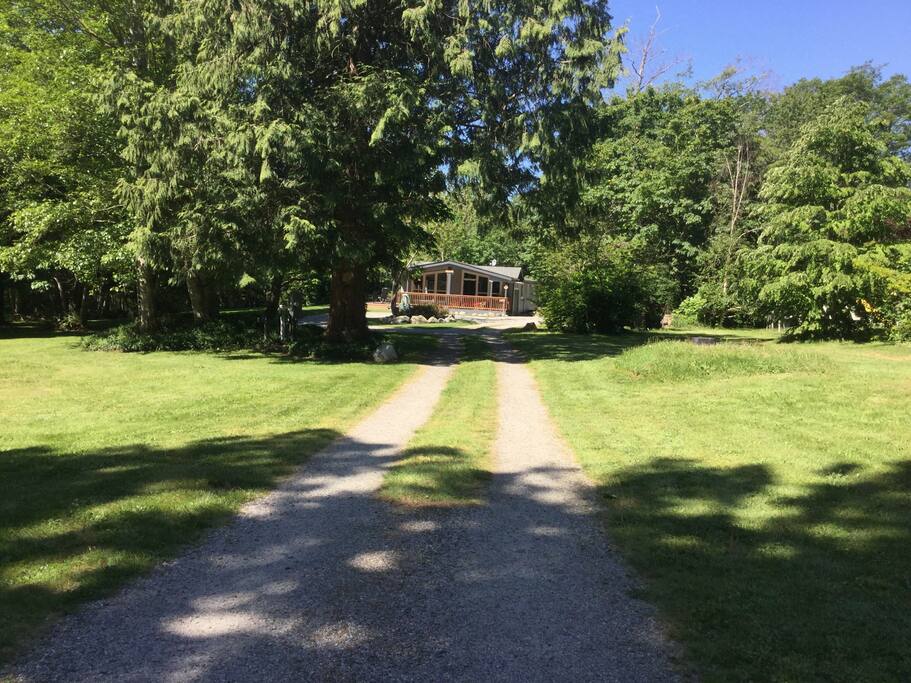 Very private couple hundred feet off of any main roadi