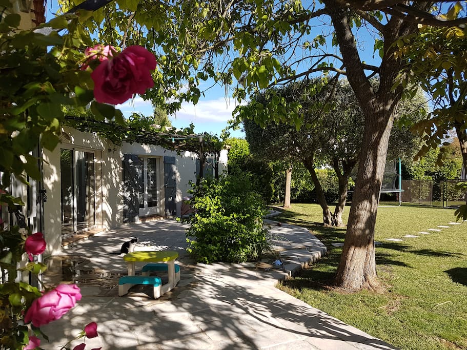 Terrasse de la chambre 1