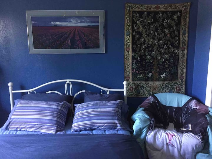 Pili (chumba cha bluu). Unaweza kuchagua chumba chochote wakati wa kuweka nafasi ya chumba kimoja tu