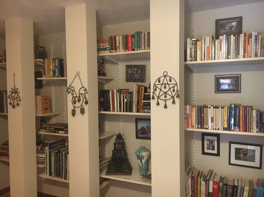 Large collection of books on loan.
