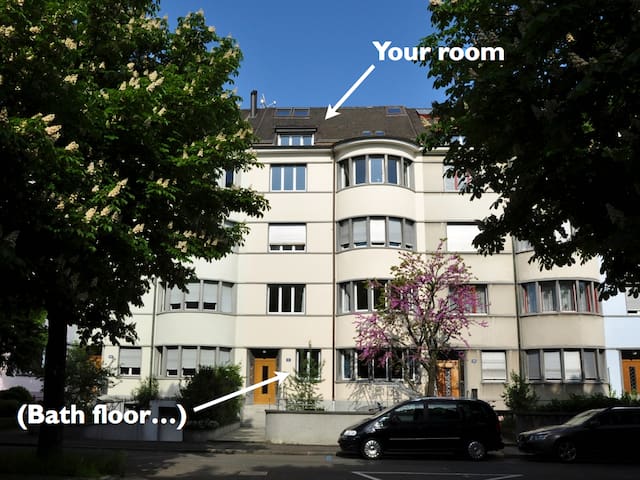 Two rooms under the rooftop. Free public transp.