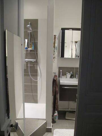 Appartement en plein centre de Lyon gallery image 5