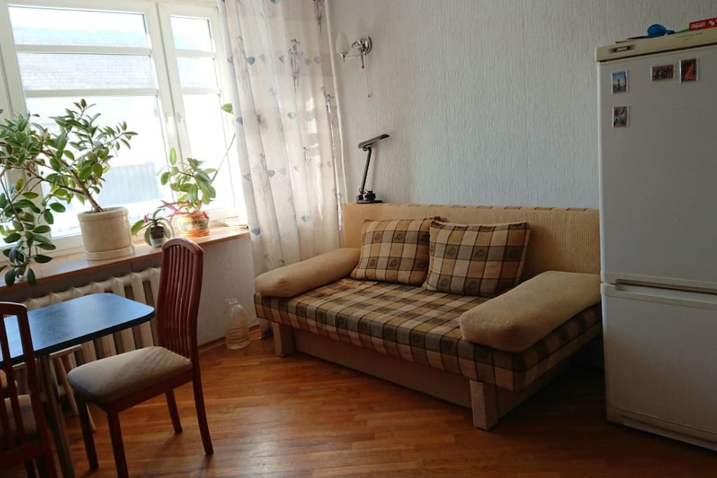 There is a sofa in the kitchen, two people can sleep here