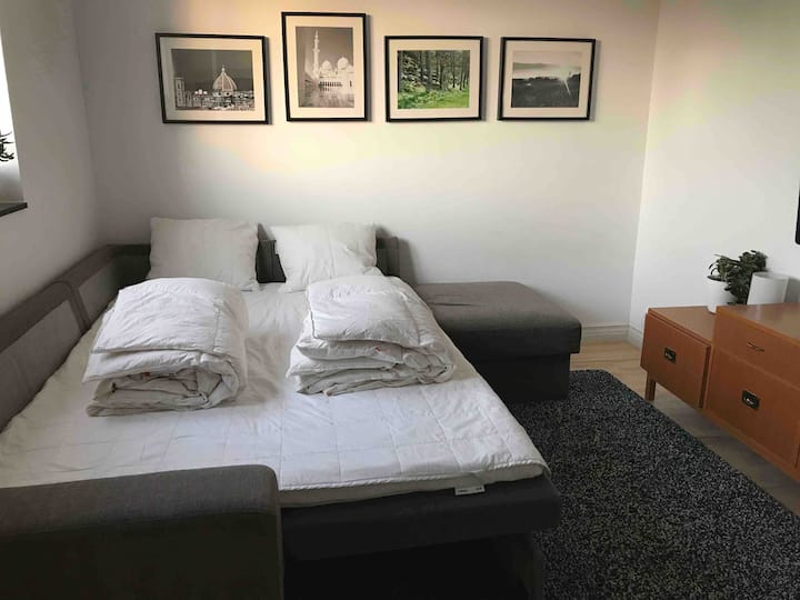 โซฟาเบดพร้อมที่นอนเสริมเพื่อความสะดวกสบายสูง 140 x 200 ซม.