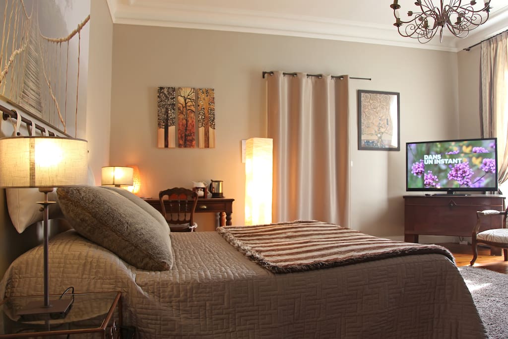 Chambre "Dans la jungle"