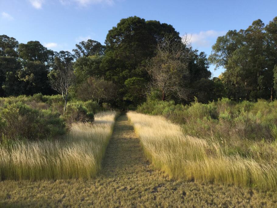 sendero de la chacra
