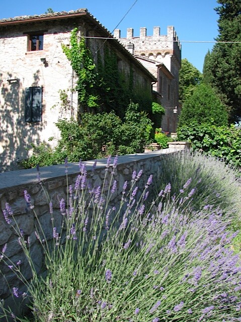 A historic stone building is surrounded by vibrant purple lavender plants, creating a serene atmosphere. Tall greenery borders the garden while a medieval tower is visible in the background, adding to the picturesque charm of the setting.