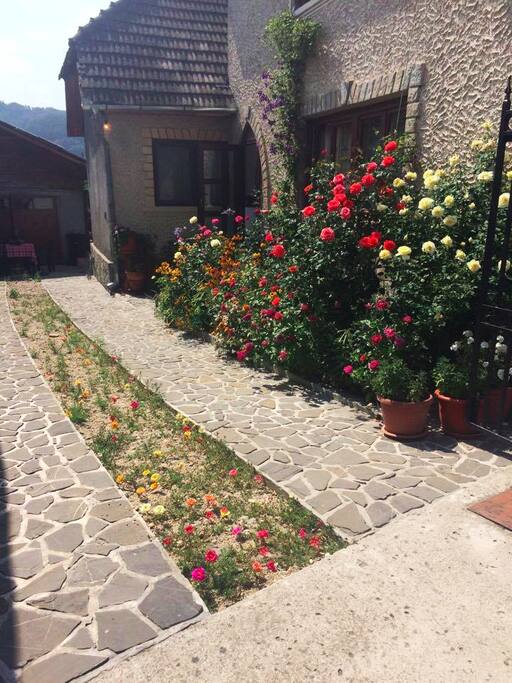 Yard