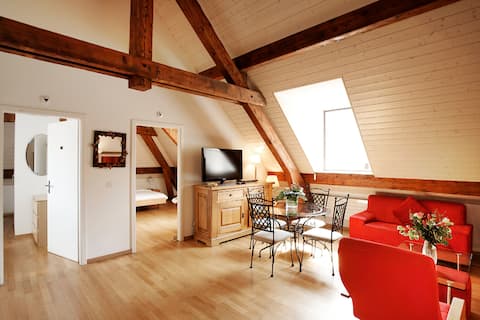 center Geneva, 2 bedrooms apartment, full AC