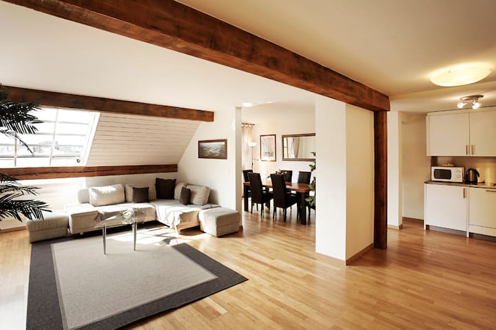 Geneva center, sunny 2 bedrooms, full AC