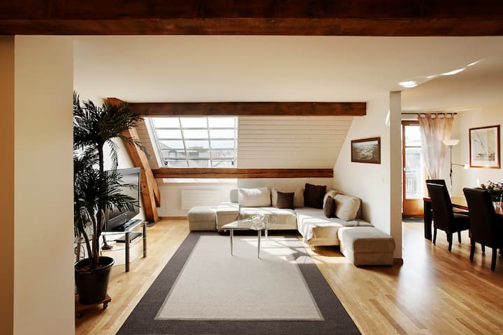Geneva center, sunny 2 bedrooms, full AC