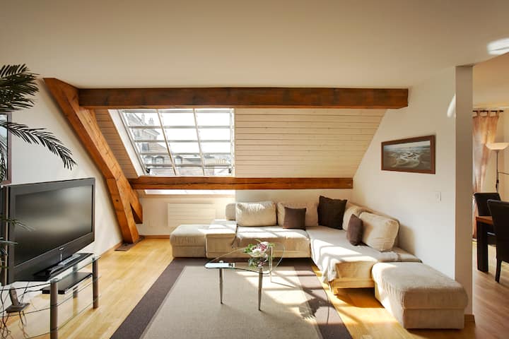 Geneva center, sunny 2 bedrooms, full AC