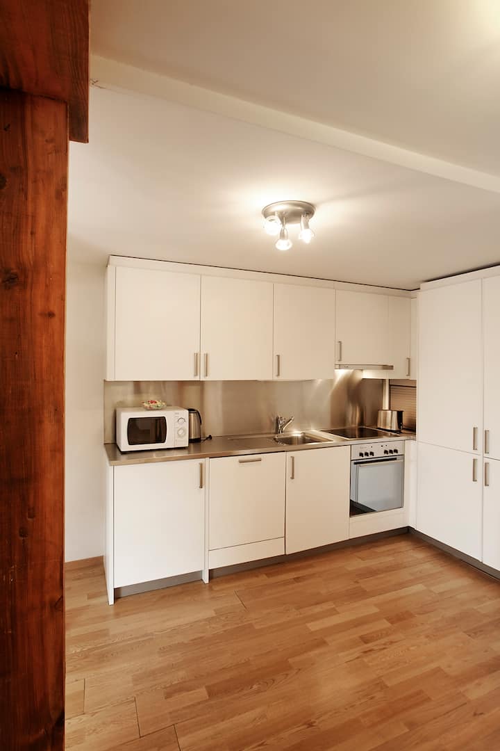 Geneva center, sunny 2 bedrooms, full AC