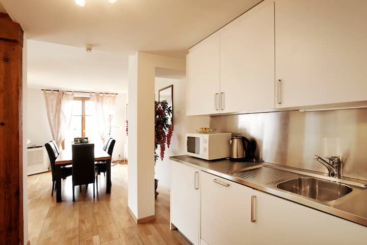 Geneva center, sunny 2 bedrooms, full AC