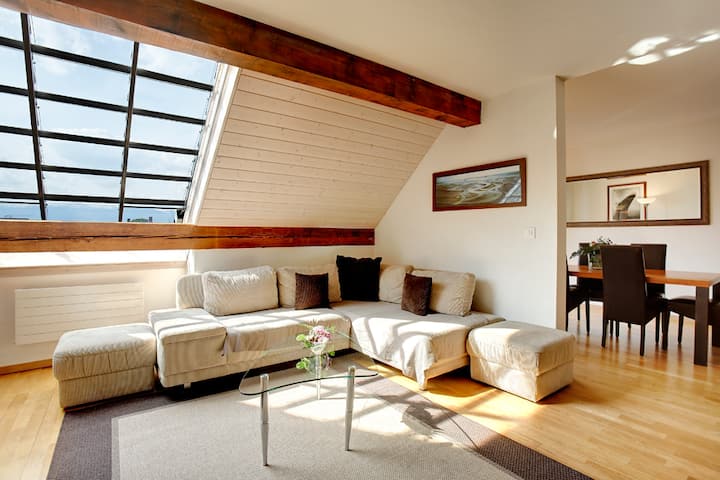 Geneva center, sunny 2 bedrooms, full AC