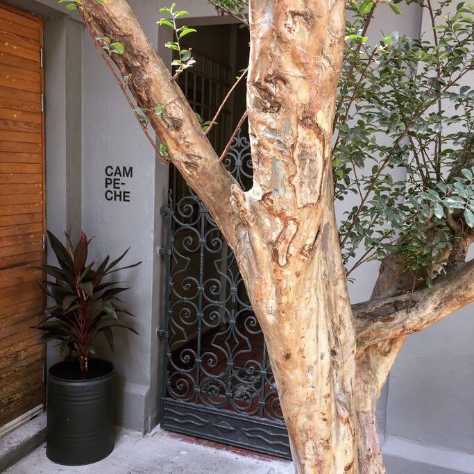 Main entrance